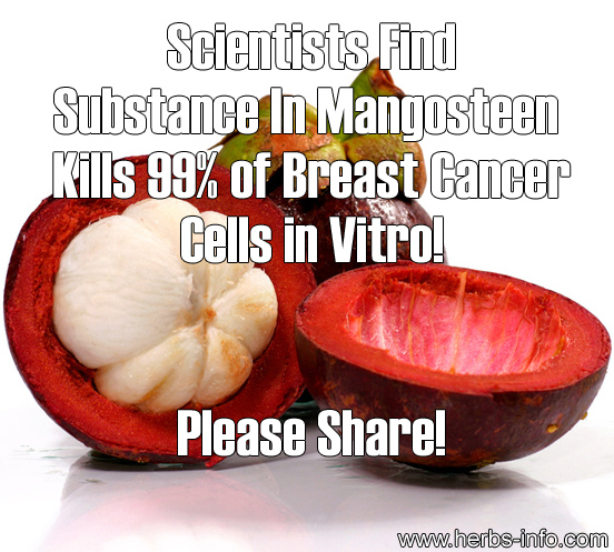 Scientists Find Substance In Mangosteen Kills 99 Percent Of Breast Cancer Cells In Vitro