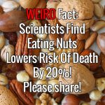 Weird Fact: Scientists Find Eating Nuts Lowers Risk Of Death By 20%!