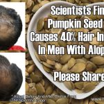 Scientists Find Pumpkin Seed Oil Causes 40% Hair Increase In Men With Alopecia!