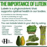 The Importance Of Lutein