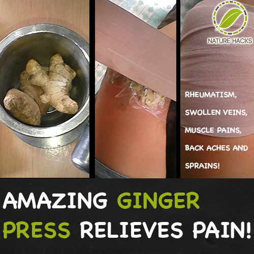 Ginger Amazing Natural Pain Killer