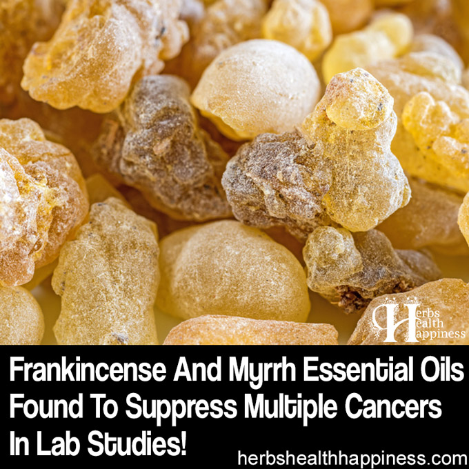 Frankincense And Myrrh Essential Oils Found To Suppress Multiple Cancers In Lab Studies