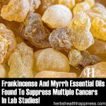 Frankincense And Myrrh Essential Oils Found To Suppress Multiple Cancers In Lab Studies