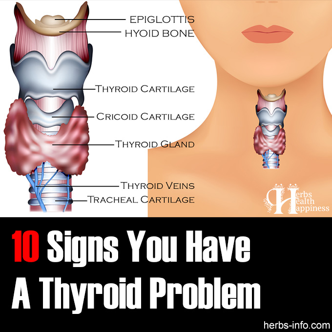 10 Signs You Have A Thyroid Problem