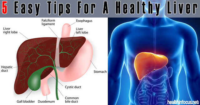 5 Easy Tips for a Healthy Liver