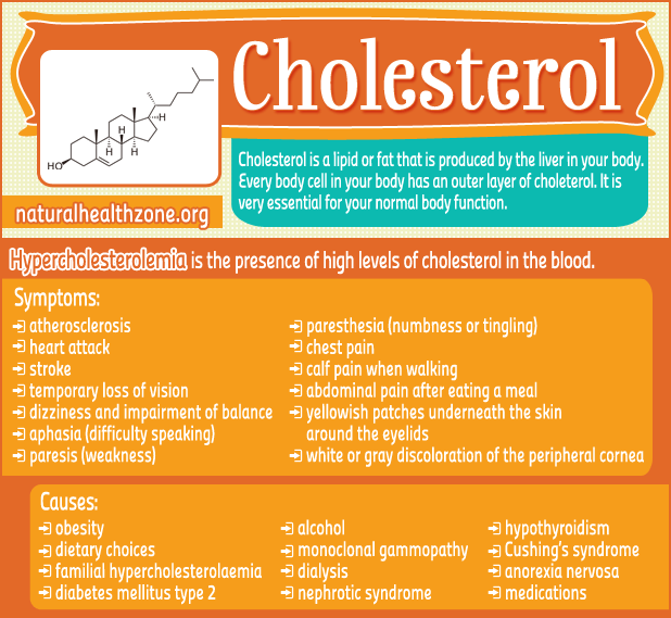 Cholesterol2-WP