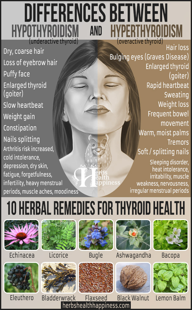 Do You Know The Difference Between Hypothyroidism and Hyperthyroidism