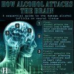 How Alcohol Attacks The Brain