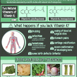 Amazing Facts About Vitamin K