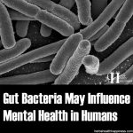 Gut Bacteria May Influence Mental Health In Humans