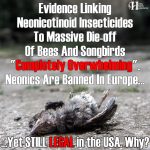 Overwhelming Evidence Linking Neonicotinoid Insecticides To Massive Die-off Of Bees And Songbirds (Full Report)