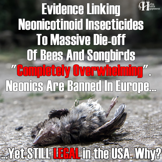 Overwhelming Evidence Linking Neonicotinoid Insecticides