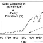 These 11 Mind Blowing Graphs Show Everything That Is Wrong With The Modern Diet