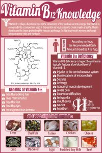 Amazing Facts About Vitamin B12 - Herbs Health & Happiness