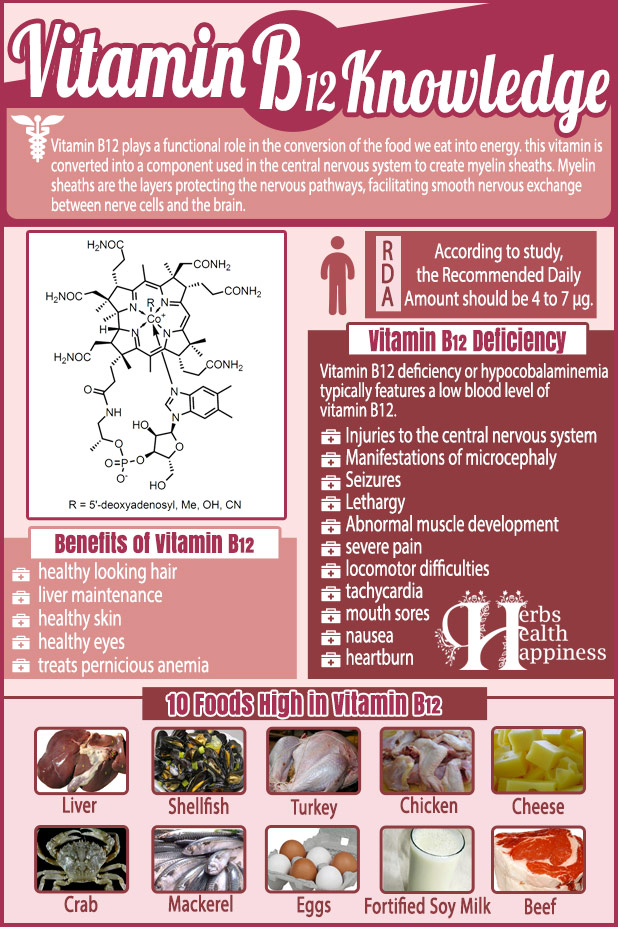 Vitamin B12 Knowledge