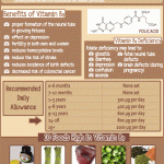 Amazing Facts About Vitamin B9