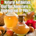 Top 12 Natural Antibiotics That Our Ancestors Used Instead Of Pills