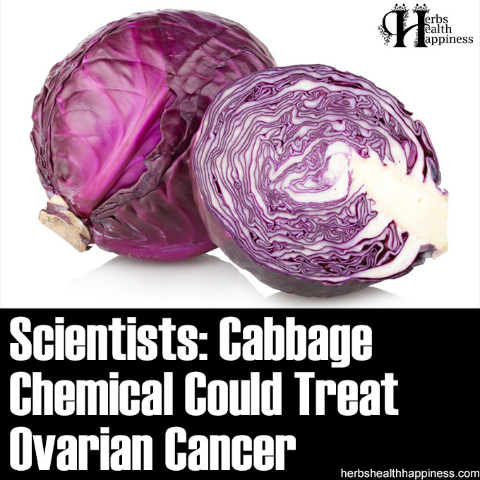 Scientists - Cabbage Chemical Could Treat Ovarian Cancer