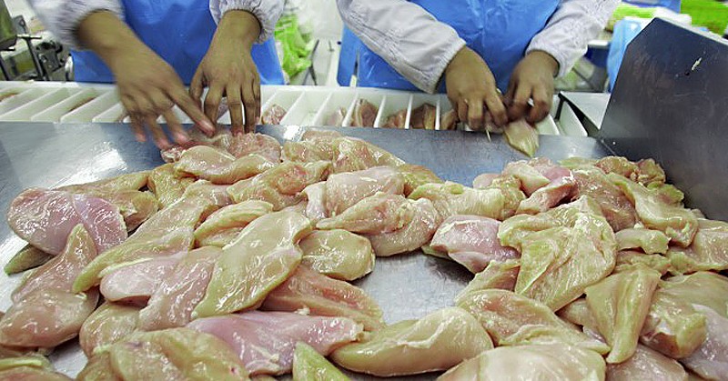 USDA Says Okay To Ship U.S. Chickens to China for Cheap Processing