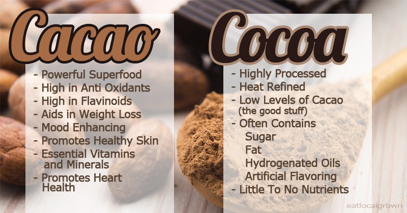 Cacao Vs Cocoa