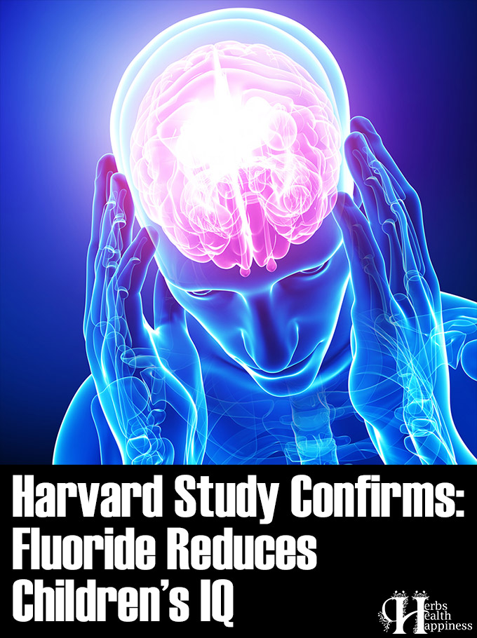 Harvard Study Confirms Fluoride Reduces Children's IQ