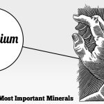 Magnesium – The Missing Link To Better Health