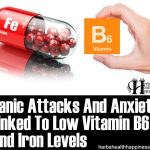 Panic Attacks And Anxiety Linked To Low Vitamin B6 And Iron Levels