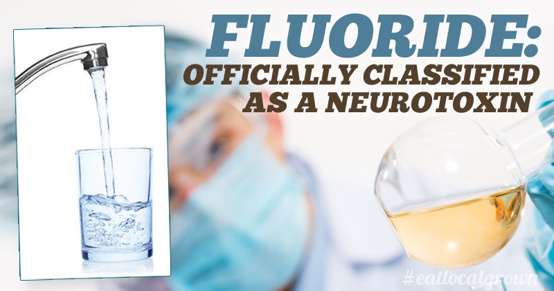 Fluoride Officially Classified As A Neurotoxin In World's Most Prestigious Medical Journal