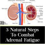 3 Natural Steps To Combat Adrenal Fatigue