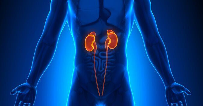 5 Natural Methods For Maintaining Kidney Health, Combating Sludge & Preventing Stones