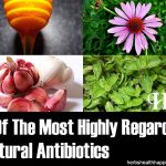 5 Of The Most Highly Regarded Natural Antibiotics