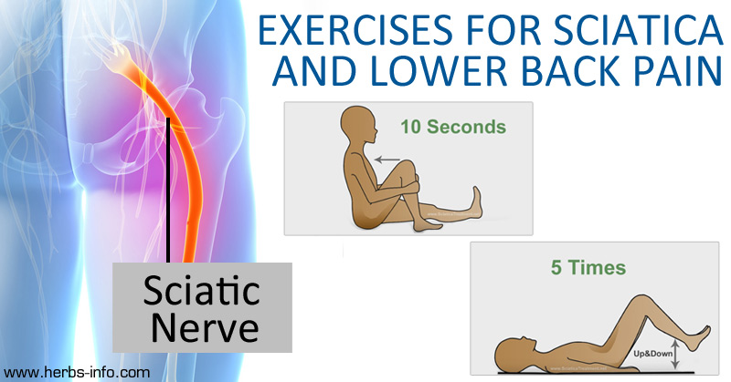 6 Of The Best Exercises For Sciatica And Lower Back Pain