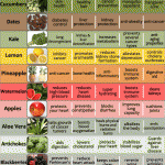 Amazing Health Benefits Of 20 Fruits And Vegetables