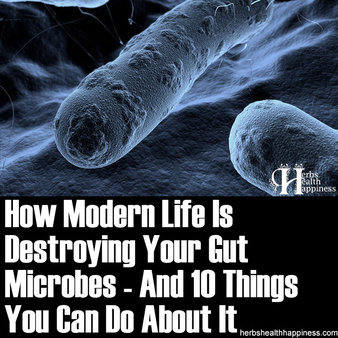 How Modern Life Is Destroying Your Gut Microbes