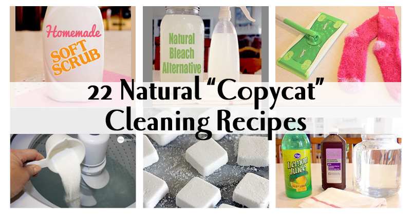 Top 22 Must-Have Copycat Cleaning Recipes
