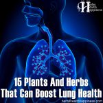 15 Plants And Herbs That Can Boost Lung Health