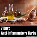 7 Best Anti-Inflammatory Herbs