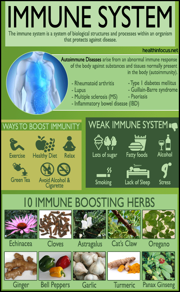 6 Things Harming Your Immune System Plus 10 Herbs For Immune Support