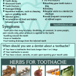 Causes And Prevention Of Toothache