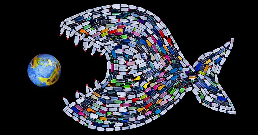 Warning: If You Eat An Average Amount Of Fish, You Are Now Eating 11,000 Pieces Of Plastic Per Year