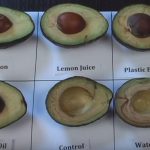 After I Saw This Video, My Avocados Never Turned Brown Again