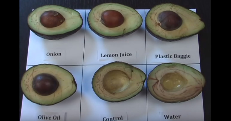After I Saw This Video, My Avocados Never Turned Brown Again