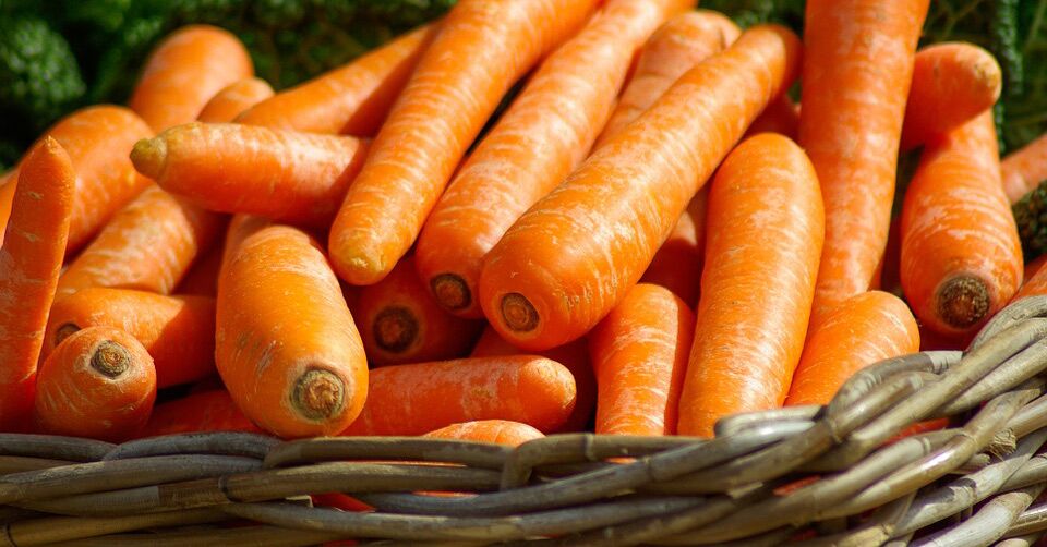 Carrot Compound Suppresses 70% Of Lung Cancer In Vivo And Reduces Risk In Humans