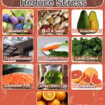 Top 10 Foods That Reduce Stress