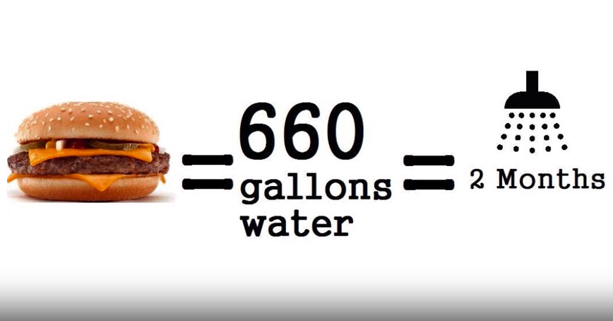 15 Shocking Facts About Your Burgers And Milk