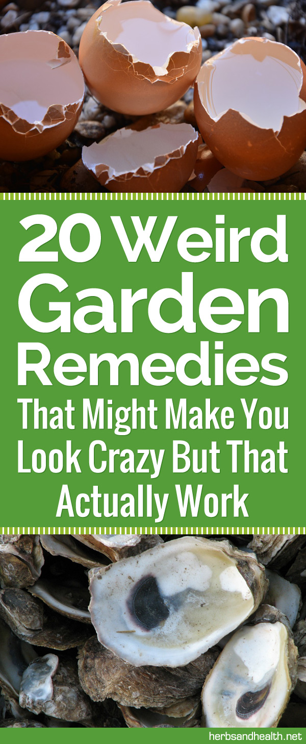20 Weird Gardening Hacks That Might Make You Look Crazy But That Actually Work