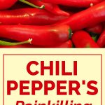 Chili Pepper’s Painkilling Mechanism Uncovered