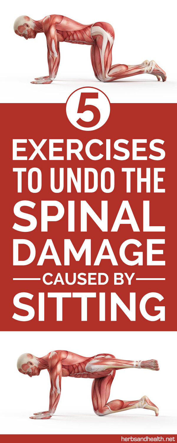5 Exercises To Undo The Spinal Damage Caused By Sitting