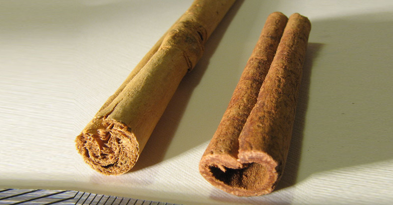 Is Your Cinnamon Real Or Fake?