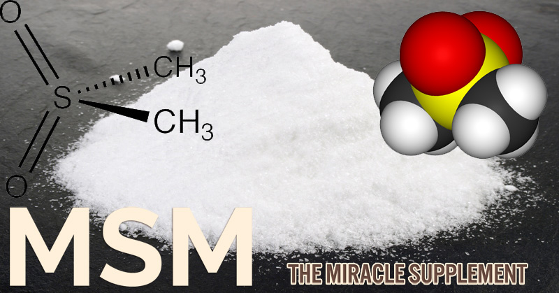 MSM: The Miracle Supplement